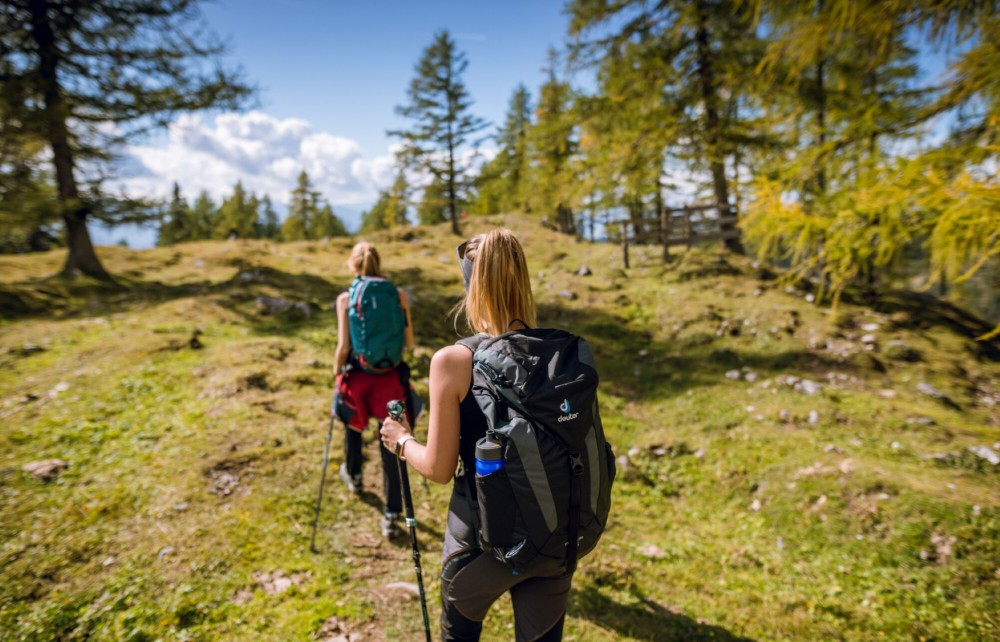 Panoramaweg zur Sonnenalm
