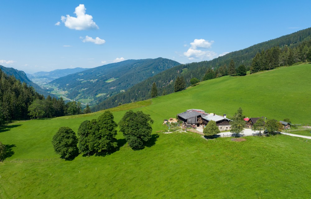 Halseralm Ramsau - inmitten saftig grüner Wiesen