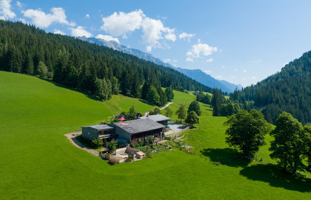 Halseralm Ramsau