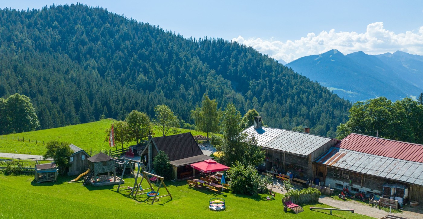 Halseralm in Ramsau am Dachstein