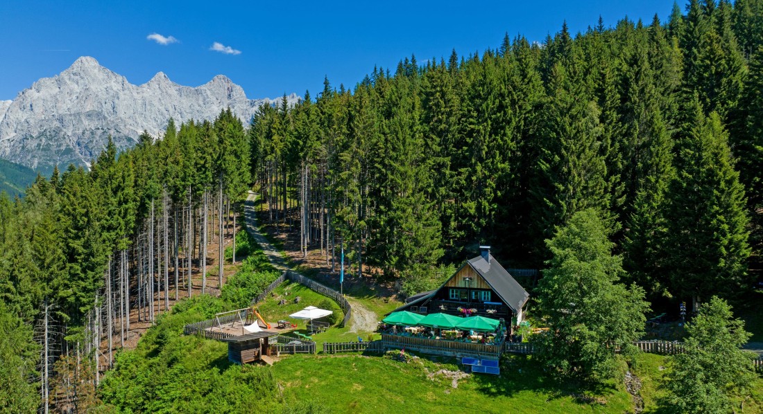 Ochsenalm in Ramsau am Dachstein