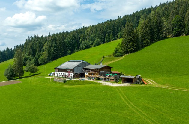 Inmitten saftig grüner Wiesen liegt die Rösteralm