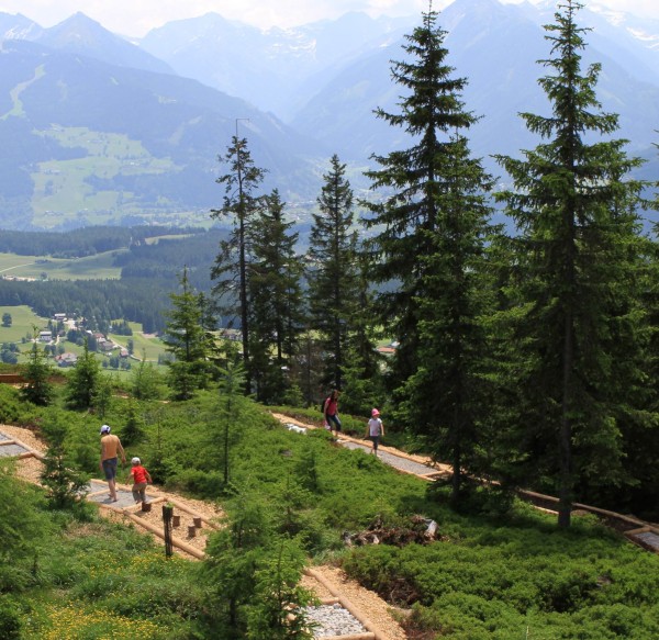 Barfußweg am Rittisberg
