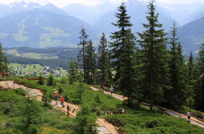Barfußweg am Rittisberg