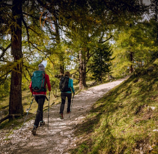 Wanderungen am Rittisberg