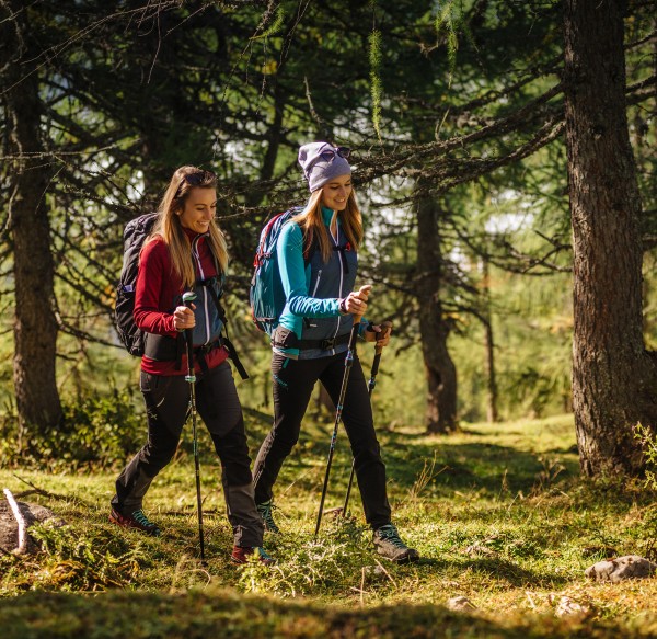 Schwoagbründlweg am Rittisberg