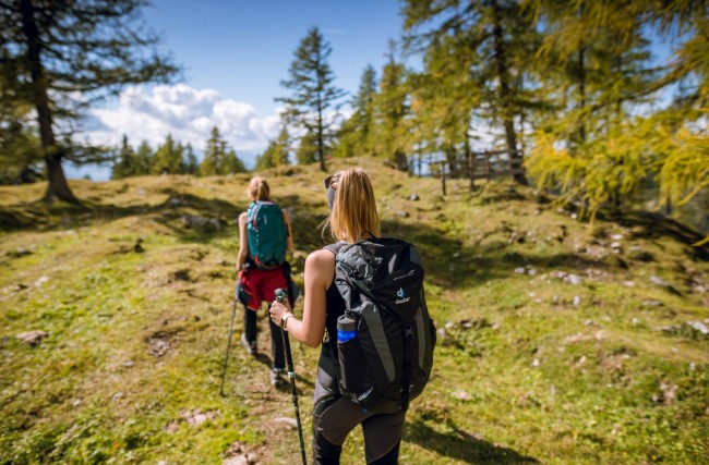 Sonnenalmpanoramaweg