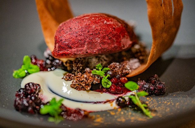 Herrliches Heidelbeereis