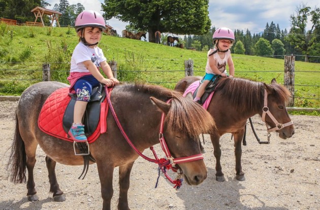 Reiten am Tritscherhof